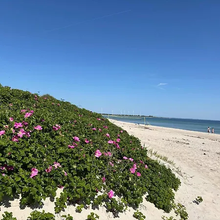 Feriehus 4 Star In Sydals-by Traum Nedre Lysabild