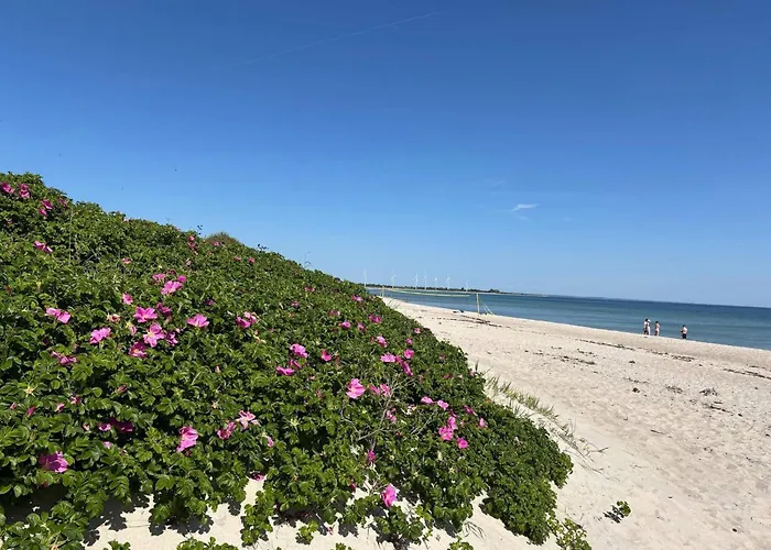 Σπίτι διακοπών 4 Star In Sydals-by Traum Nedre Lysabild