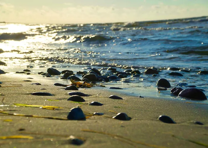 4 Star In Sydals-by Traum Nedre Lysabild